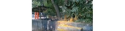 செங்கன்னூர் பகவதி - மாவேலிக்கரை - கேரளா